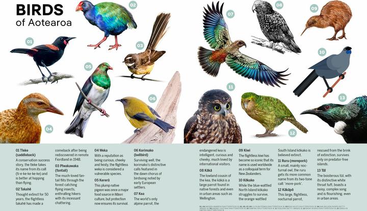 Immagine prodotto New Zealand (Inglese, Il pianeta solitario, 2022)