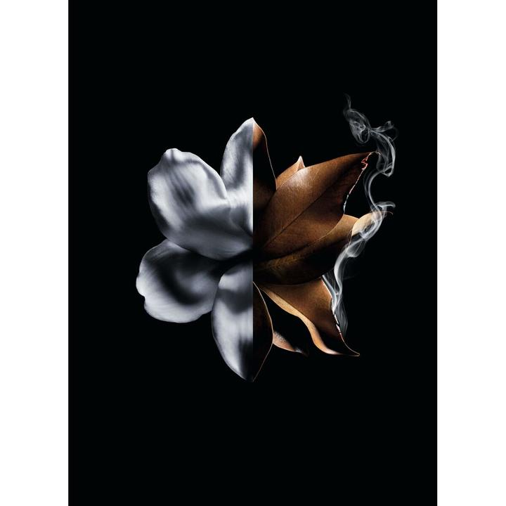 Immagine prodotto Givenchy L’Interdit Absolu (Eau de parfum, 50 ml)
