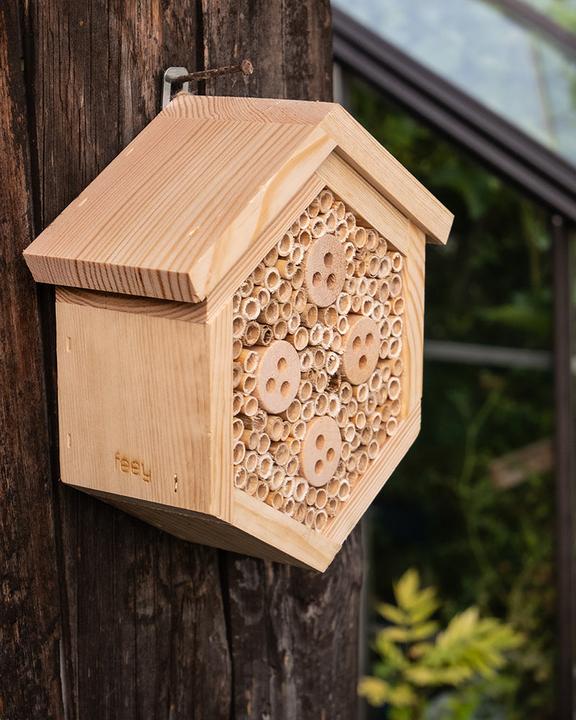 Actual product image feey Forsisens (Wild bees)