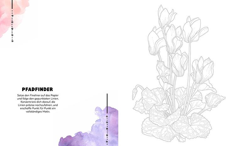 Produktbild Achtsam zeichnen