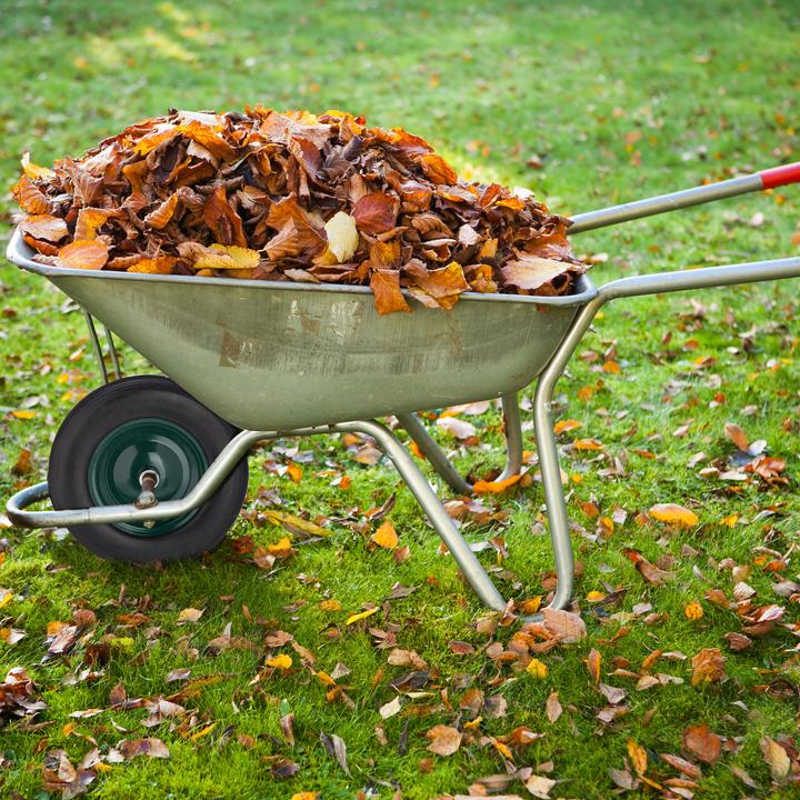 Actual product image Relaxdays Wheelbarrow wheel