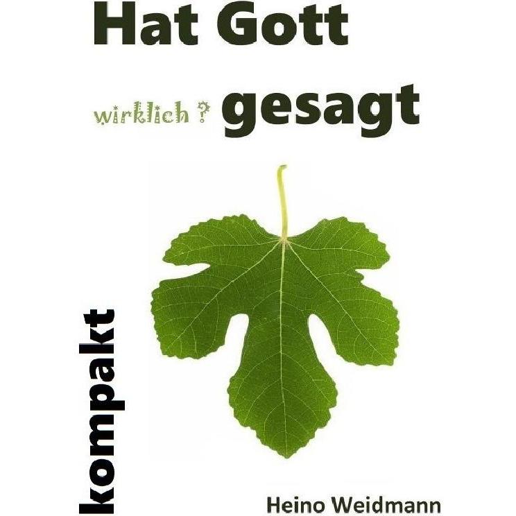 Hat Gott wirklich? gesagt kompakt, Sachbücher von Heino Weidmann