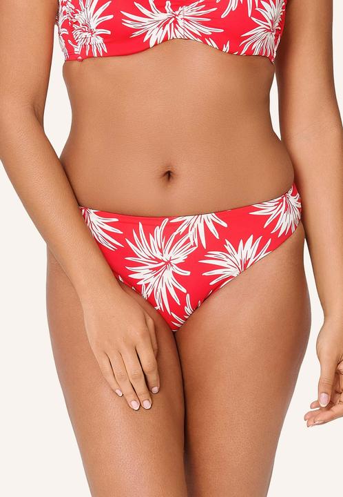 Immagine prodotto LingaDore Bikini Slip (36)