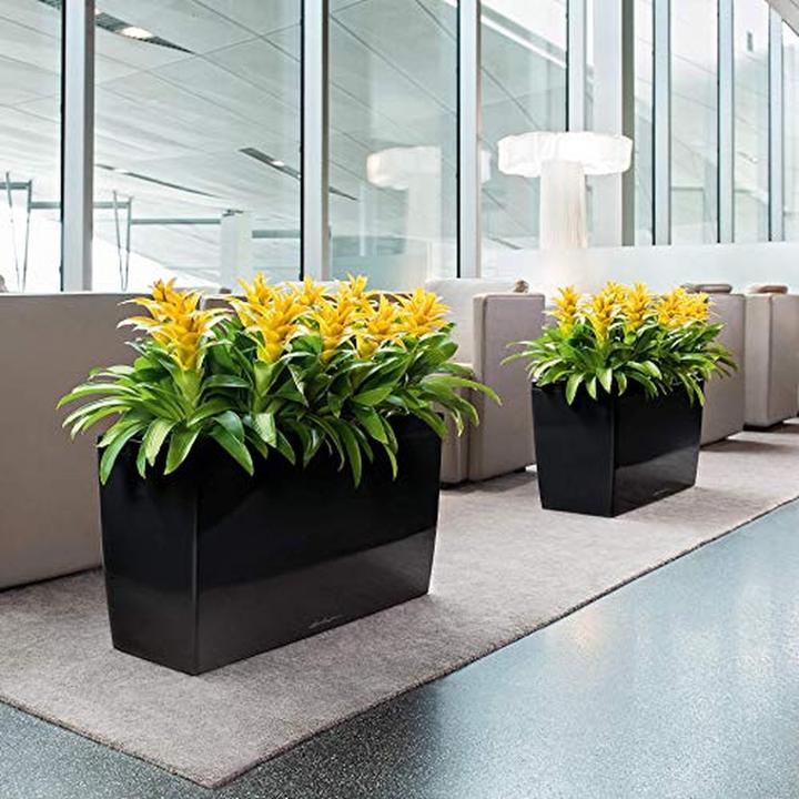 Produktbild Lechuza Cararo (30 cm)