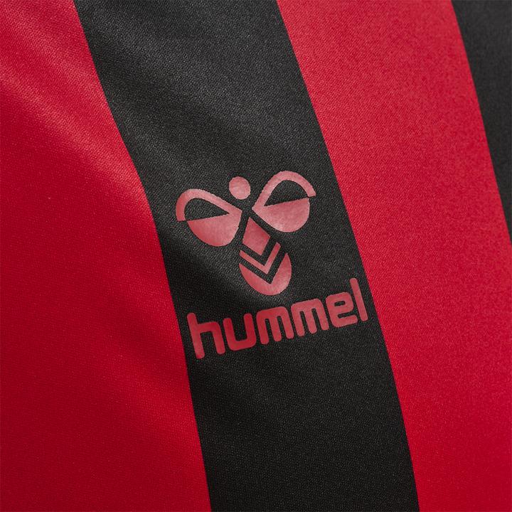 Produktbild hummel Core Xk Striped Jersey S/S (XXL)