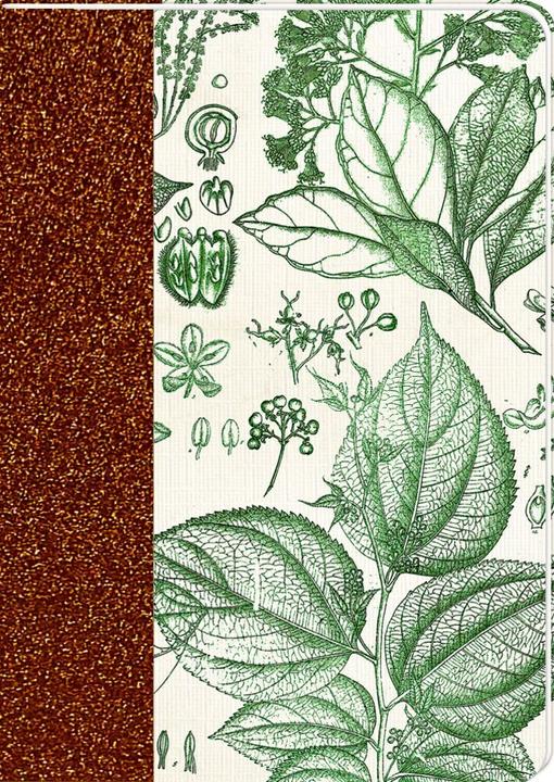 Produktbild Notizhefte DIN A6 Sammlung Augustina (A6)