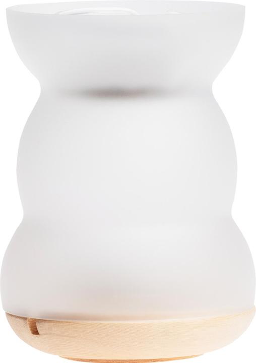 Actual product image Nature's Design Lucerna