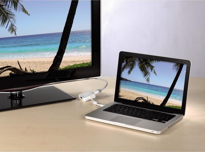 Image du produit Hama Mini-port d'affichage vers (DVI, HDMI, DP, 15 cm)