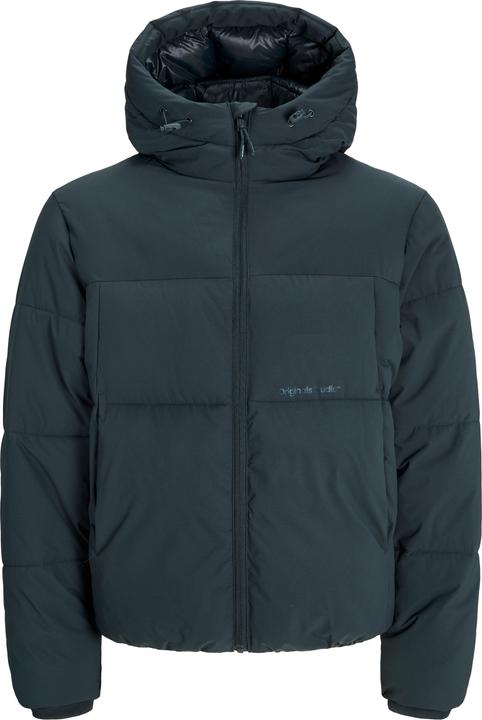 Actual product image Jack & Jones Plus size puffer jacket Puffer jacket (4XL)