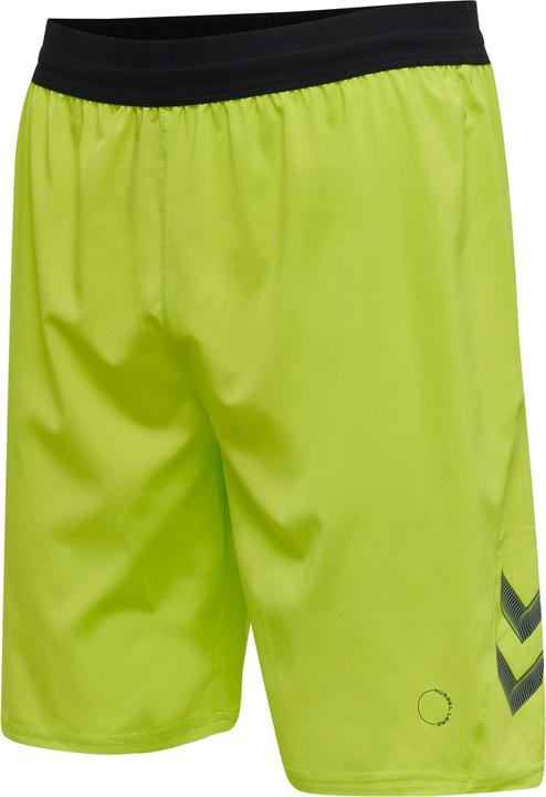 Actual product image hummel Lead Pro Training Shorts (M)