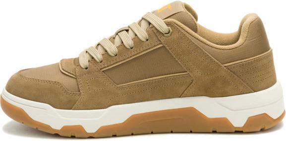 Produktbild Cat Theorem (41)