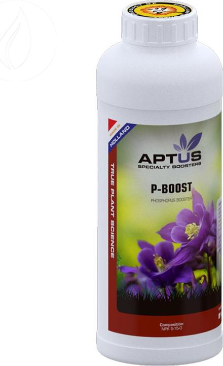 Produktbild Aptus P-Boost (0.99 kg, 1 l)