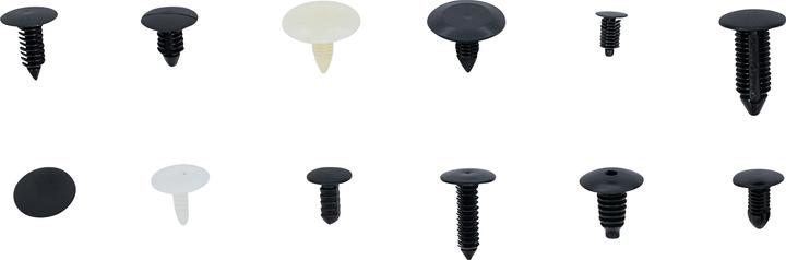 Actual product image BGS Fir Tree Clip Assortment for GM, VW, Chrysler, BMW, Nissan Ford 340 pcs.