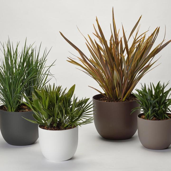 Image du produit Euro3plast Rio Greener