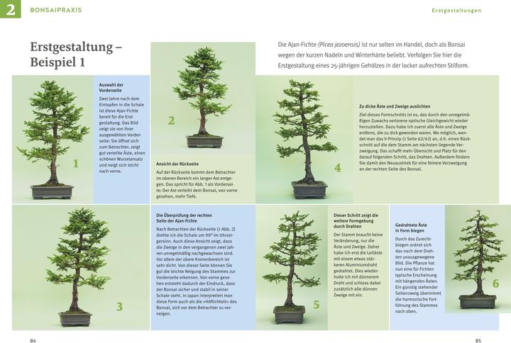 Valeurs nutritives et ingrédients Bonsai ziehen, gestalten und pflegen (Allemand, Johann Kastner, 2024)