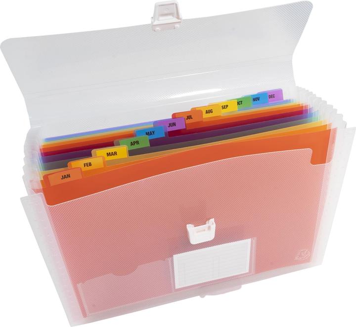 Immagine prodotto Exacompta Cartella di cristallo con manico (A4, 1 x)