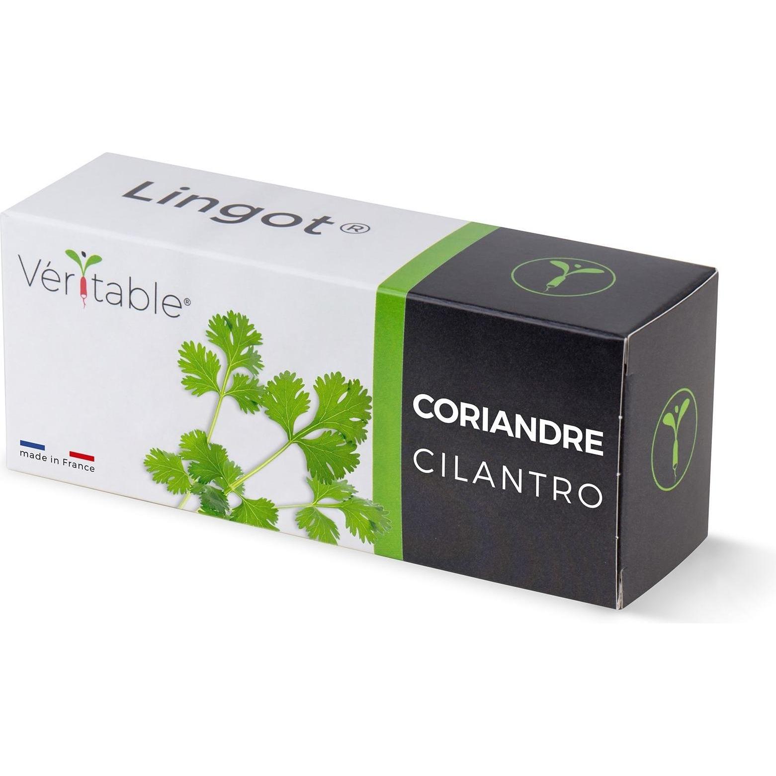 Véritable: Semi di Coriandolo Organico (Semi di Erbe)