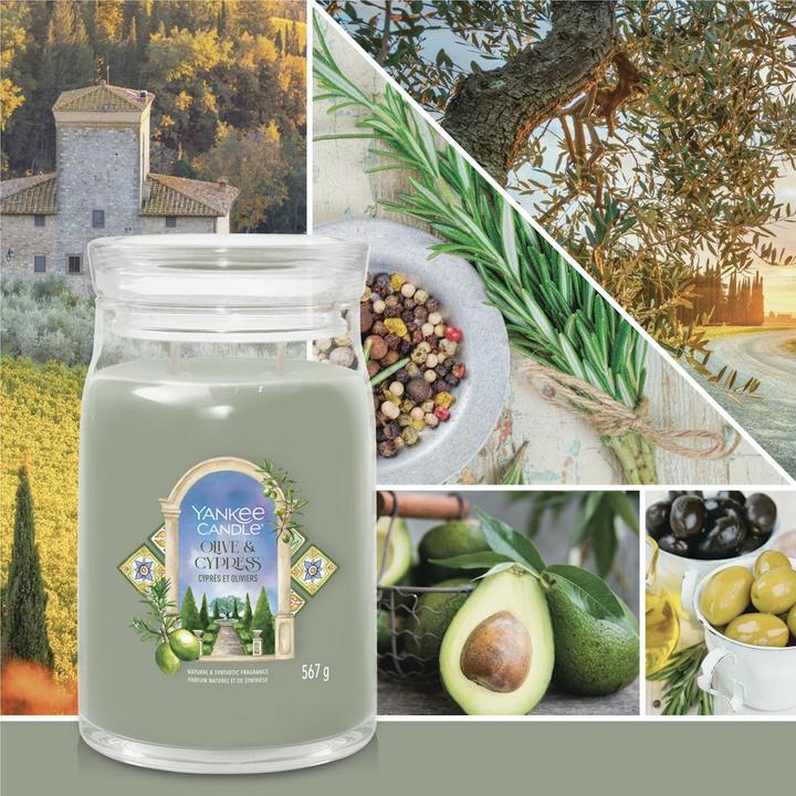 Produktbild Yankee Candle Olive & Cypress