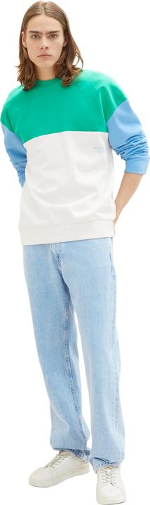 Actual product image Tom Tailor Sweatshirt Pullover ohne Kapuze mit Color-Block (S)