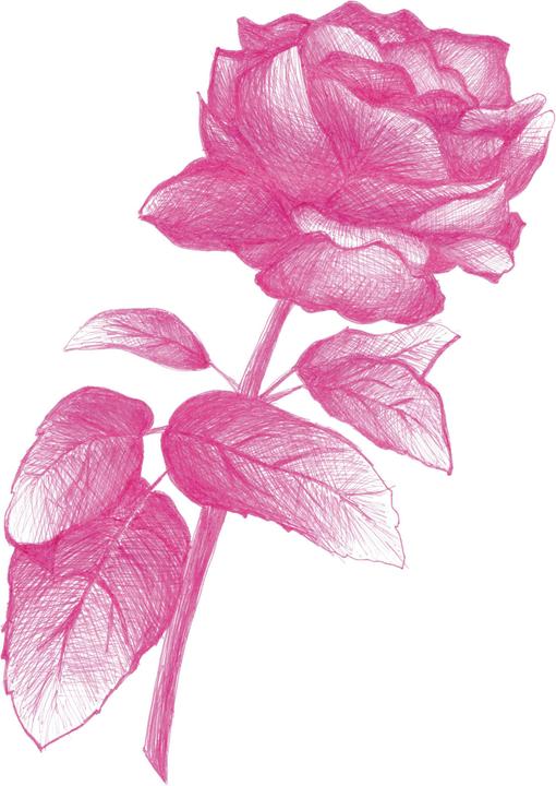 Immagine prodotto Copic Set di colori Multiliner, 0,3 mm, 10 pezzi (Verde oliva, Lavanda, Seppia, Nero, Grigio caldo, Grigio freddo, Pink, Vitivinicolo, Cobalto, Brown, 10 x)