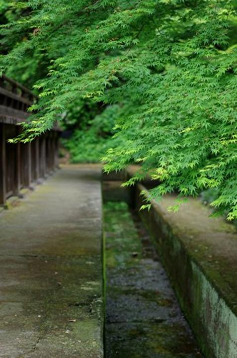 Produktbild Pentax SMC DA 50mm f/1.8 (Pentax K, APS-C / DX)