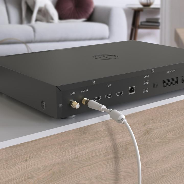 Immagine prodotto Hama Cavo per antenna, spina coassiale - presa coassiale, placcato oro, 3,0 m, 100 dB (100 dB, Cavi antenna)