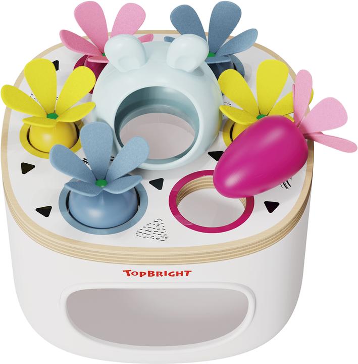 Produktbild Topbright Toys Sortierspiel Karotten