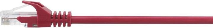 Actual product image Renkforce RF-5043990 RJ45 network cable, patch cable CAT 5e U/UTP 0.15 m red with (U/UTP, CAT5e, 0.15 m)