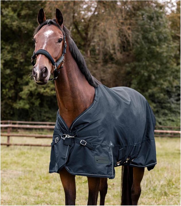 Image du produit Waldhausen Scandic 50g (140 cm)