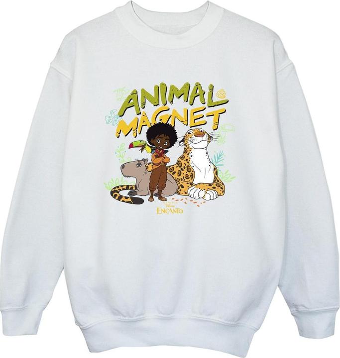 Image du produit Disney - Sweat ENCANTO ANIMAL MAGNET - Garçon (140, 146)