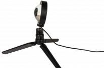 Actual product image No Label Lampe (350 lm)