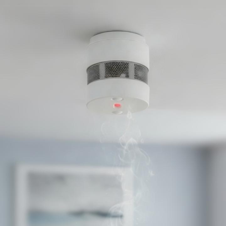 Actual product image Alecto SD1020