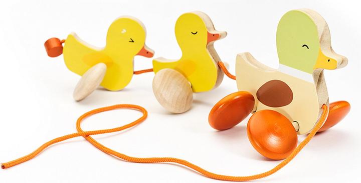 Image du produit Classic World Canard à poils longs