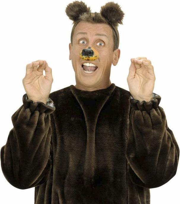 Produktbild Widmann Bären Plüschohren