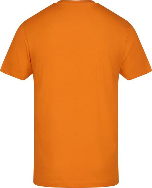 Actual product image Awdis Unisex Adult Cotton T-Shirt (L)