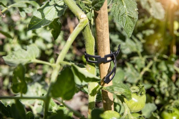 Immagine prodotto Windhager Raccoglitore professionale senza fine (500 cm, 1.20 cm)