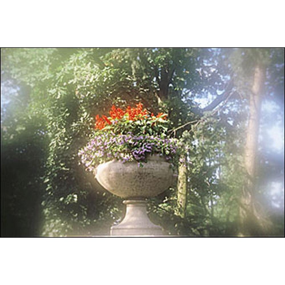 Thumbnail - Cokin Filter A060 Ring farblos 1 (67 mm, Effekt Filter, 67 mm), Objektivfilter, Transparent
