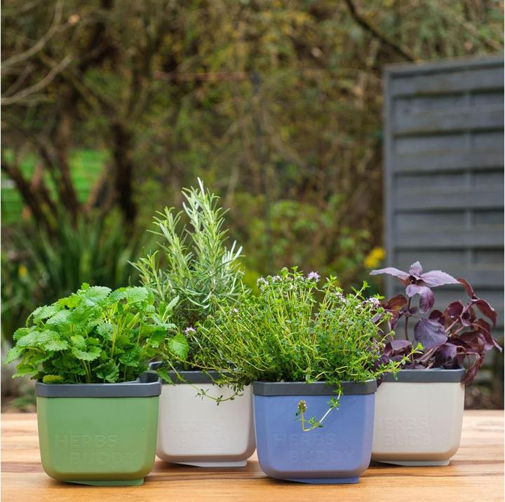 Produktbild Gusta Garden Herbs Buddy (14.90 x 16.30 x 14.50 cm)