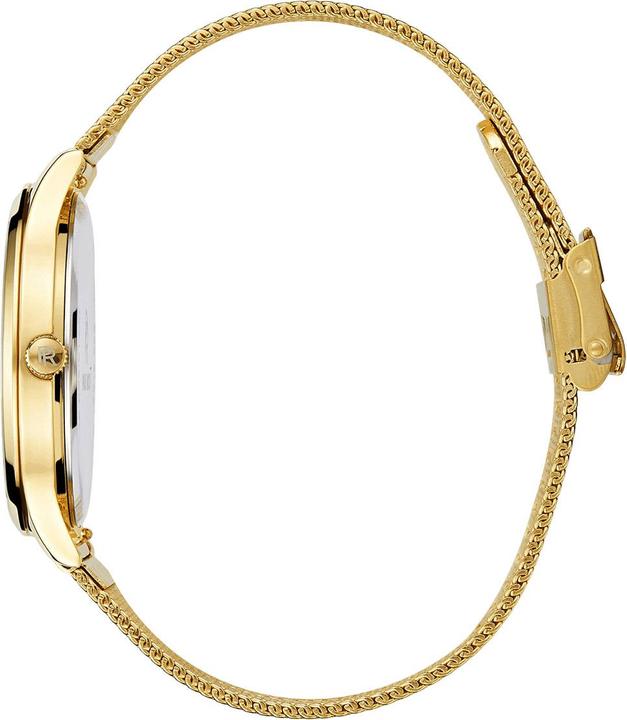 Produktbild Paul Rich Hampton Greenport Mesh (Analoguhr, 40 mm)