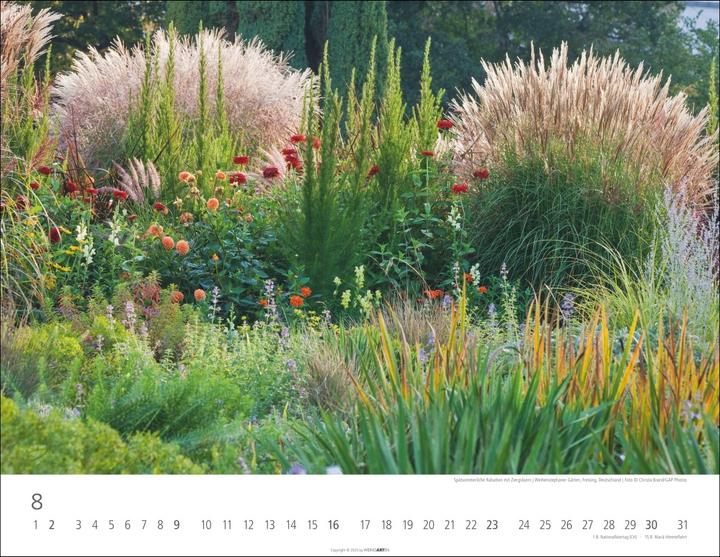 Immagine prodotto Gräser Kalender 2026 (44 x 34 cm)