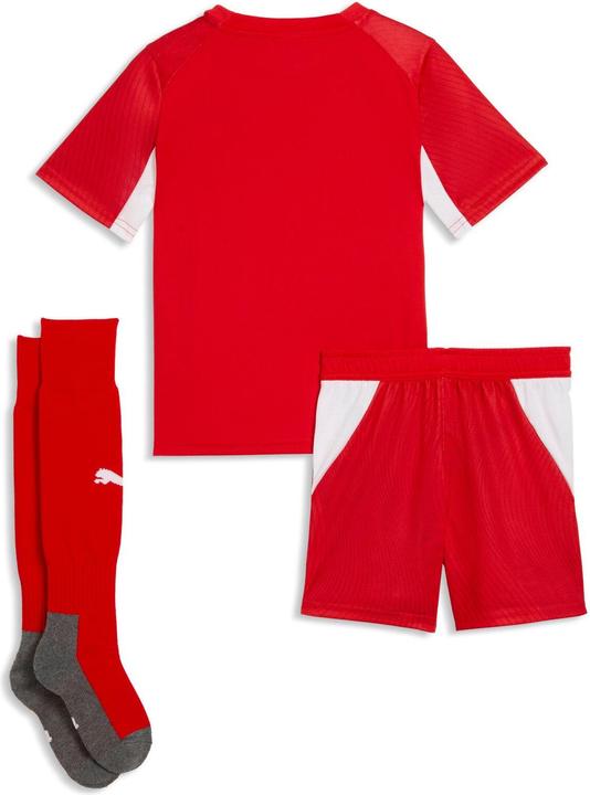 Puma SFV Home Minikit (104)
