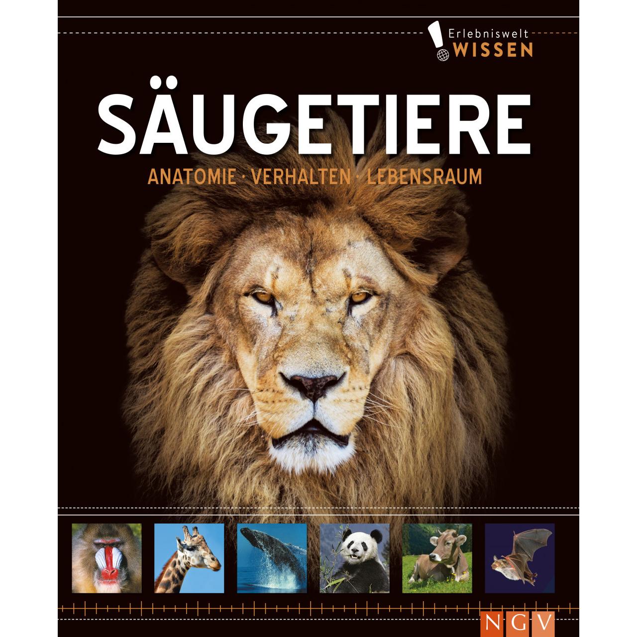 Erlebniswelt Wissen Säugetiere, Kinderbücher