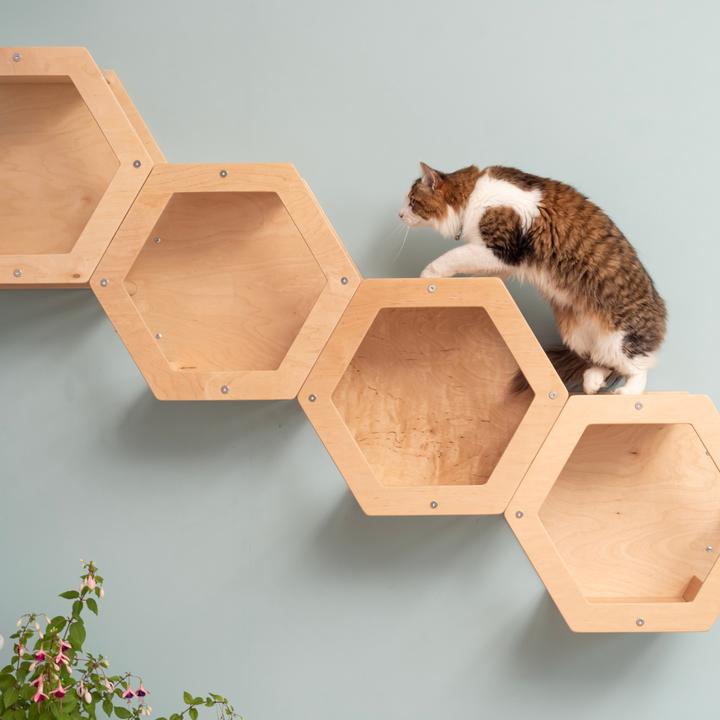 Actual product image Wowhelperco 4 honeycombs (Nature)