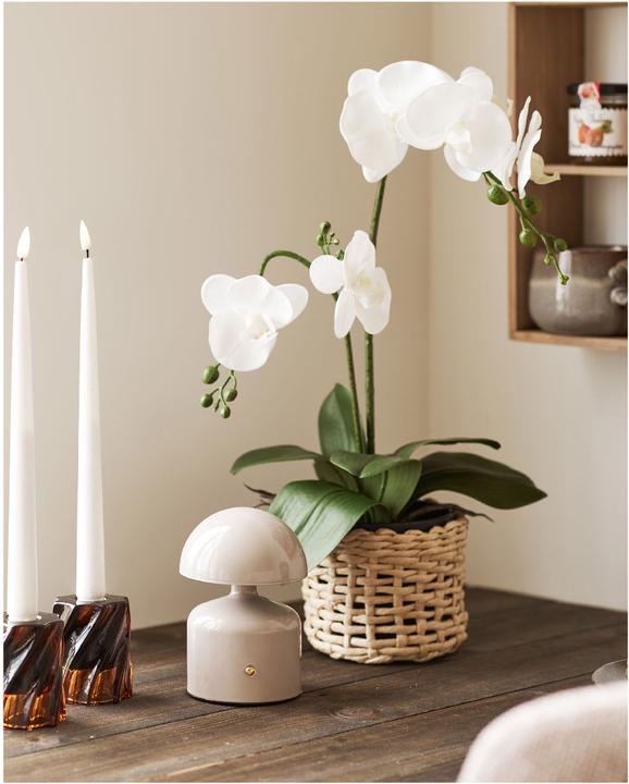 Image du produit House Nordic Lampe de table Aulla Prix pour 1 pièces