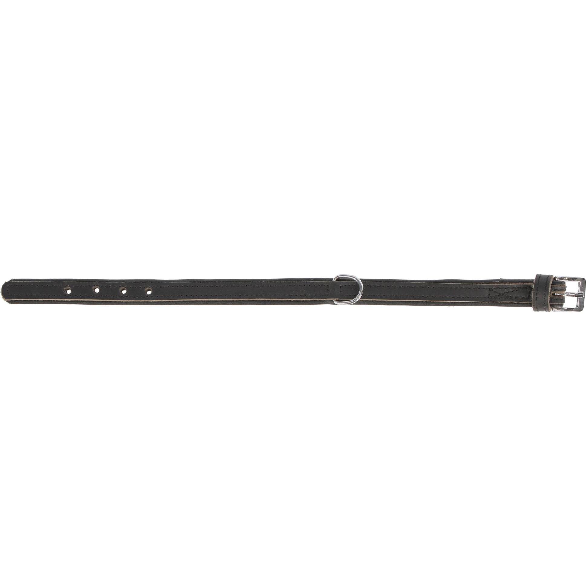 Thumbnail - Kerbl VEGAS HQ schwarz 20mm 32 cm (Hund, Allgemein), Halsband + Leine
