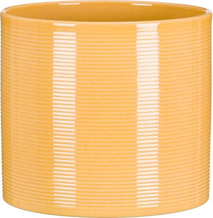 Produktbild Scheurich Zabaione (19 x 17 cm)