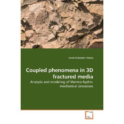 Coupled phenomena in 3D fractured media, Fachbücher von Israel Cañamón Valera