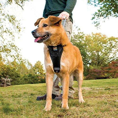 Immagine prodotto Kurgo Tru-Fit Smart Harness (XS, Cane, Generale, Jogging, Passeggiare, Sport cane)