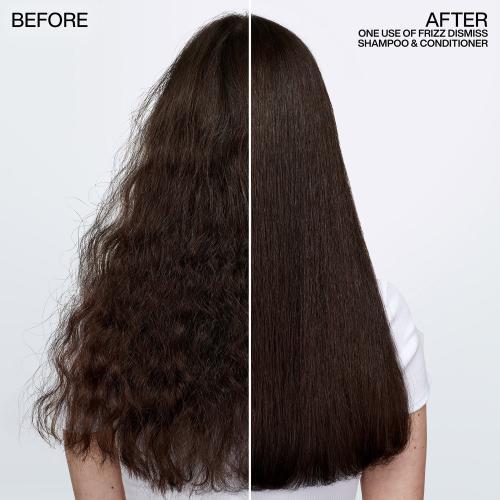 Actual product image Redken Frizz Dismiss (300 ml)