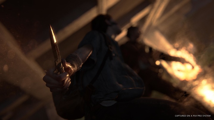 Produktbild Sony The Last of Us Part II (2) (PS4, EN)